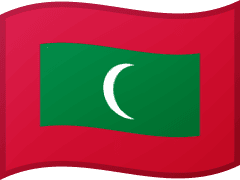 The flag of the Maldives