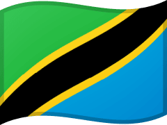 The flag of  Tanzania